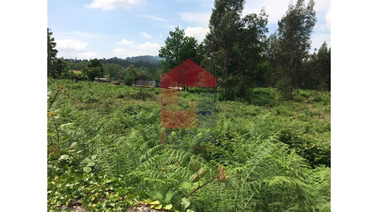 Terreno para Venda em Vila Verde e Barbudo Foto 4
