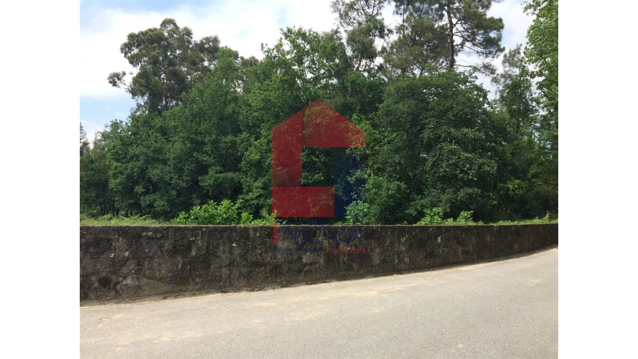 Terreno para Venda em Vila Verde e Barbudo Foto 1
