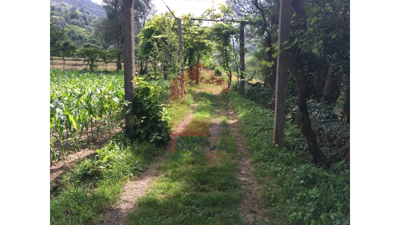 Terreno para Venda em Sande, Vilarinho, Barros e Gomide Foto 10