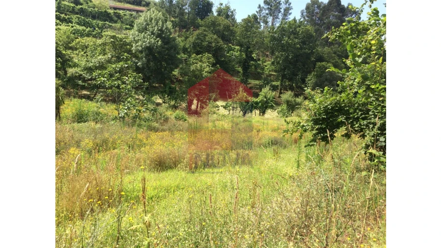 Terreno para Venda em Sande, Vilarinho, Barros e Gomide Foto 5