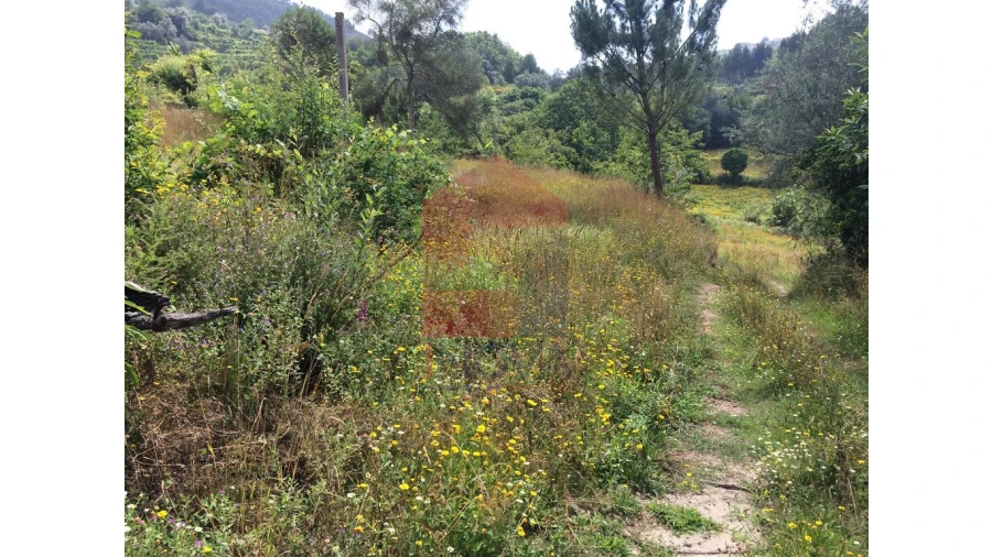 Terreno para Venda em Sande, Vilarinho, Barros e Gomide Foto 8