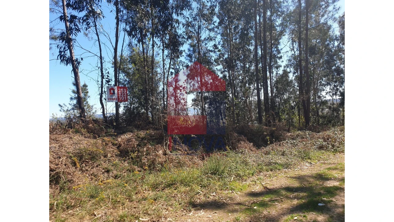 Terreno para Venda em Cabanelas Foto 1