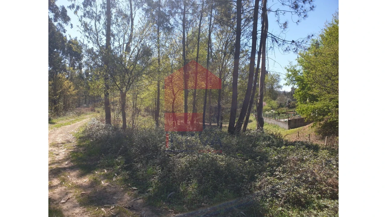 Terreno para Venda em Cabanelas Foto 7