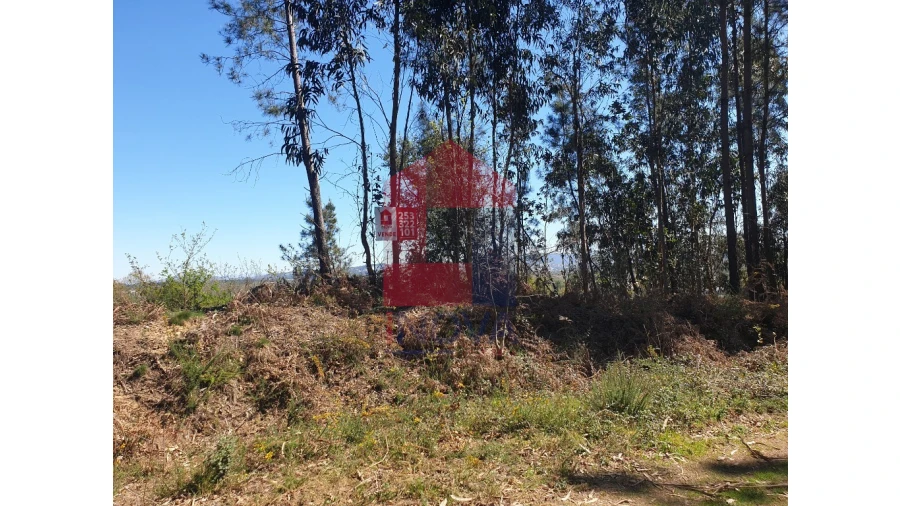 Terreno para Venda em Cabanelas Foto 2