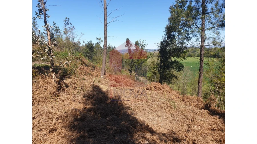 Terreno para Venda em Cabanelas Foto 4