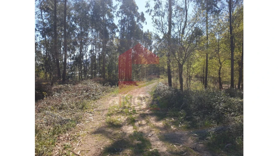 Terreno para Venda em Cabanelas Foto 8