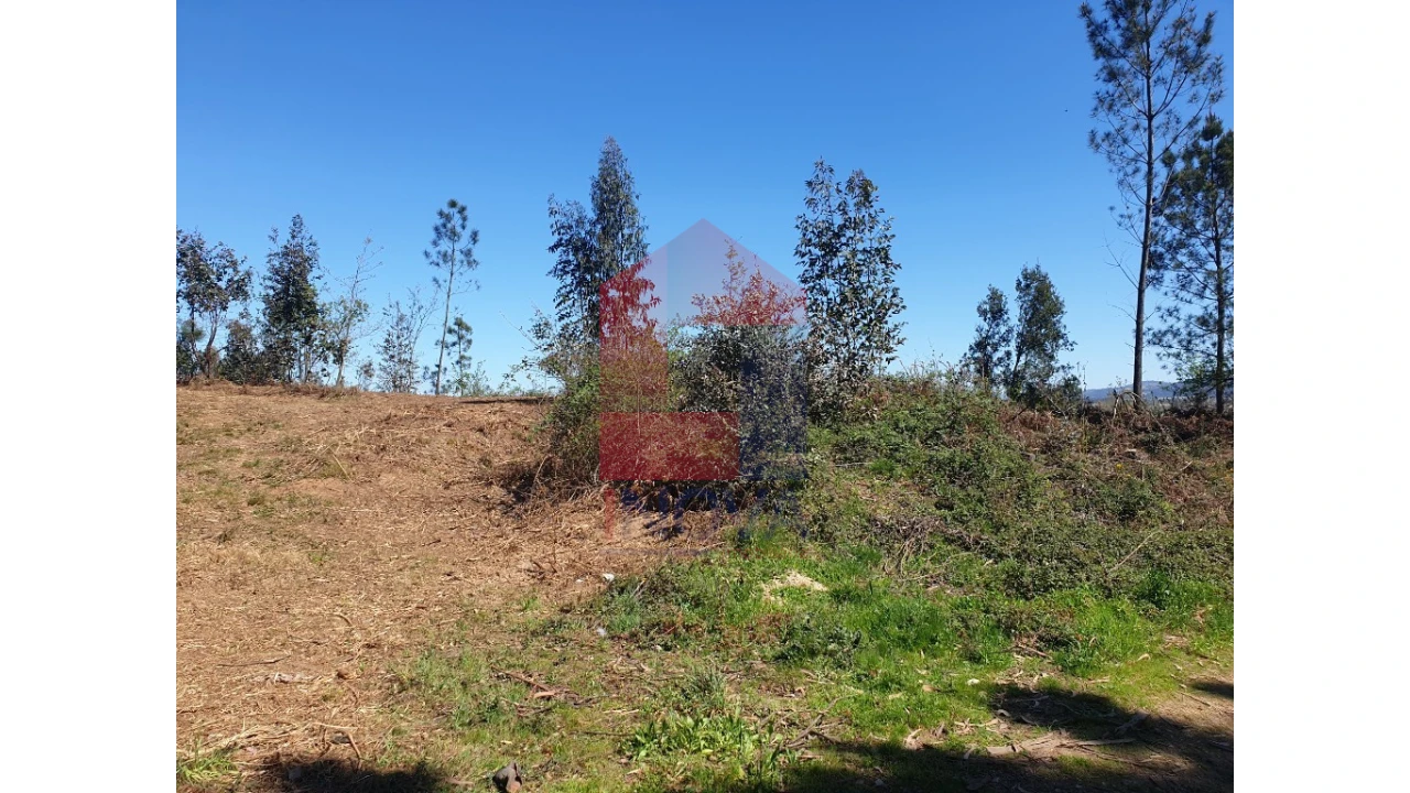 Terreno para Venda em Cabanelas Foto 6