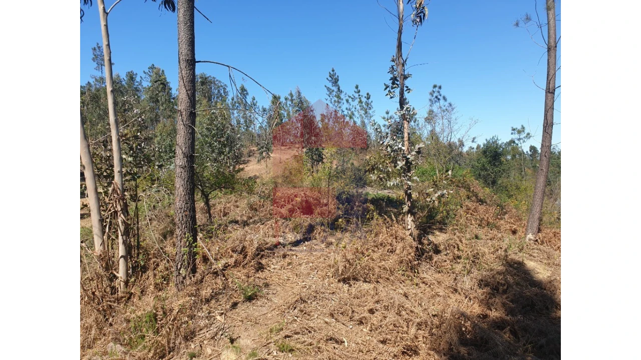 Terreno para Venda em Cabanelas Foto 3