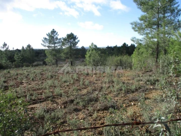 Terreno para Venda em Benquerenças