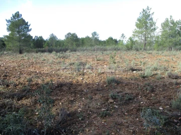 Terreno para Venda em Benquerenças