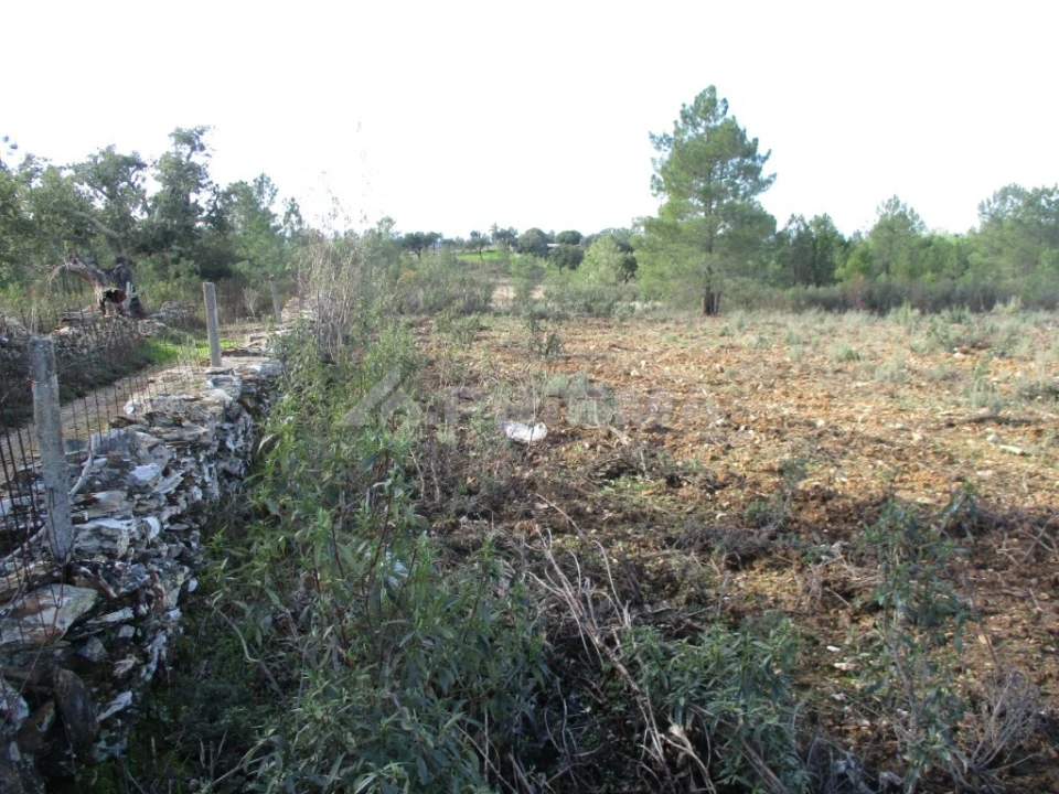 Terreno para Venda em Benquerenças Foto 3