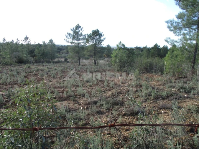 Terreno para Venda em Benquerenças Foto 7