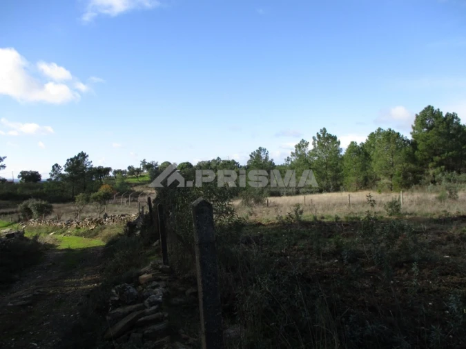 Terreno para Venda em Benquerenças Foto 9