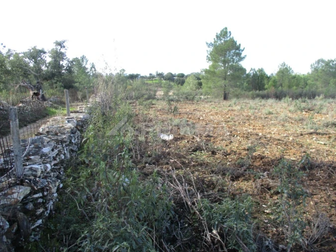 Terreno para Venda em Benquerenças Foto 3