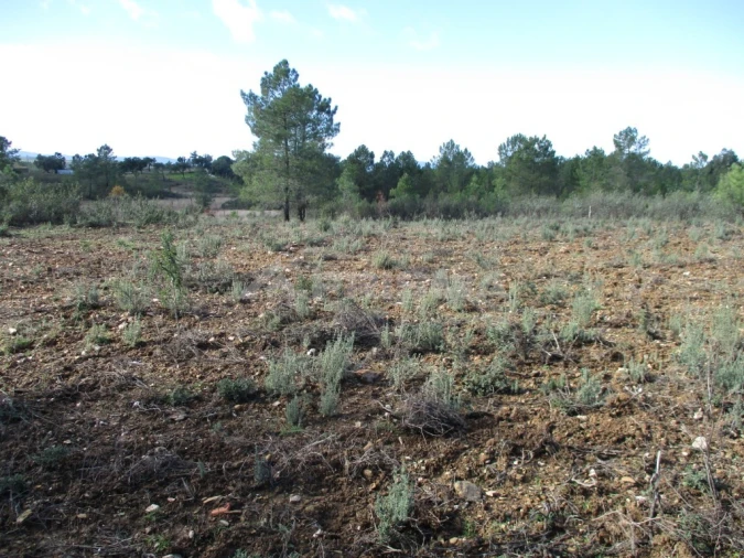 Terreno para Venda em Benquerenças