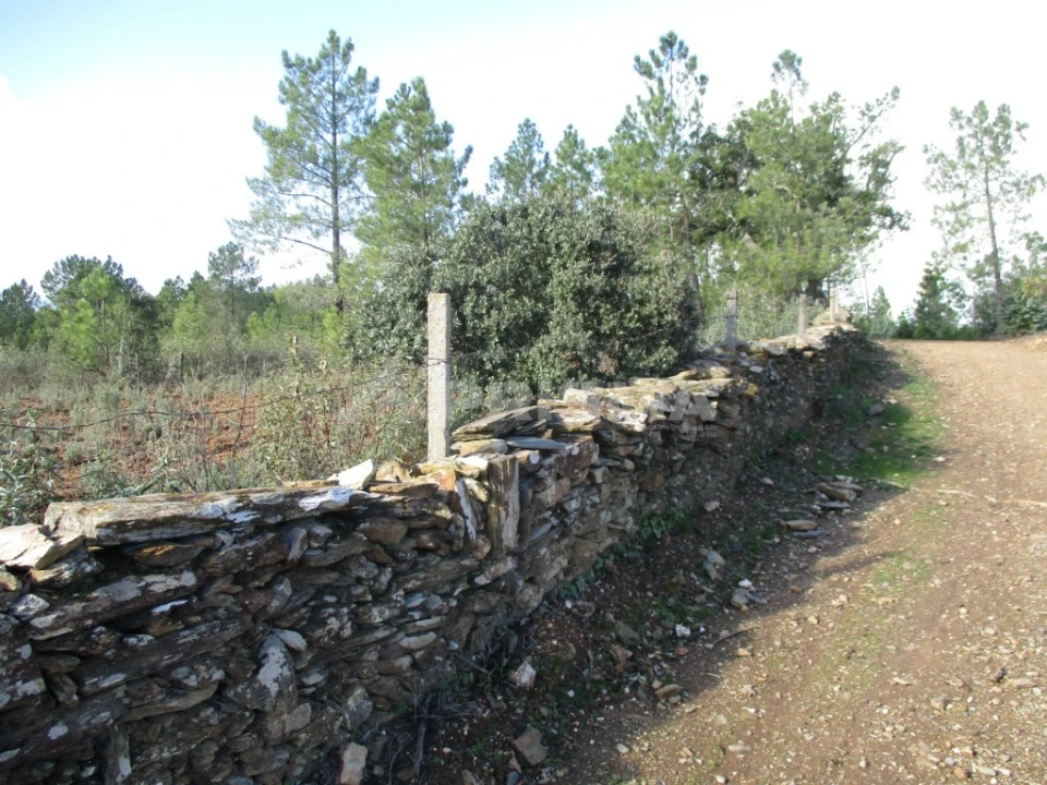 Terreno para Venda em Benquerenças Foto 5