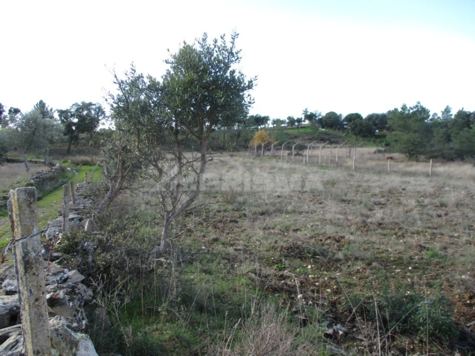 Terreno para Venda em Benquerenças Foto 10