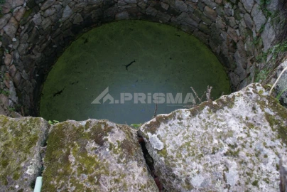 Terreno para Venda em Alcains