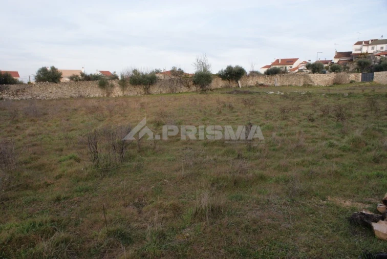 Terreno para Venda em Alcains Foto 8