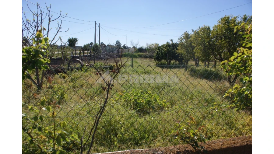 Moradia T5 para Venda em Benquerenças Foto 13