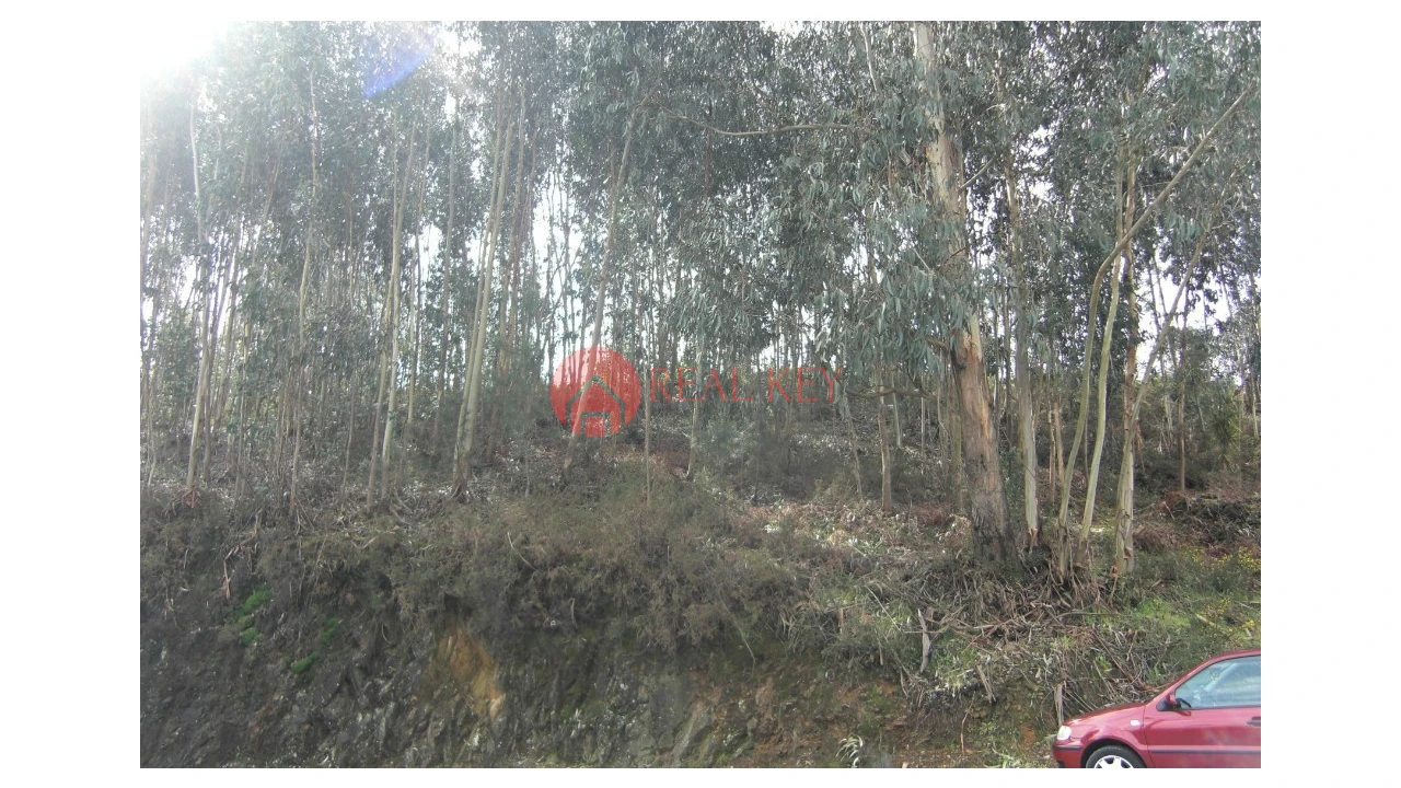 Terreno para Venda em Lordelo Foto 2