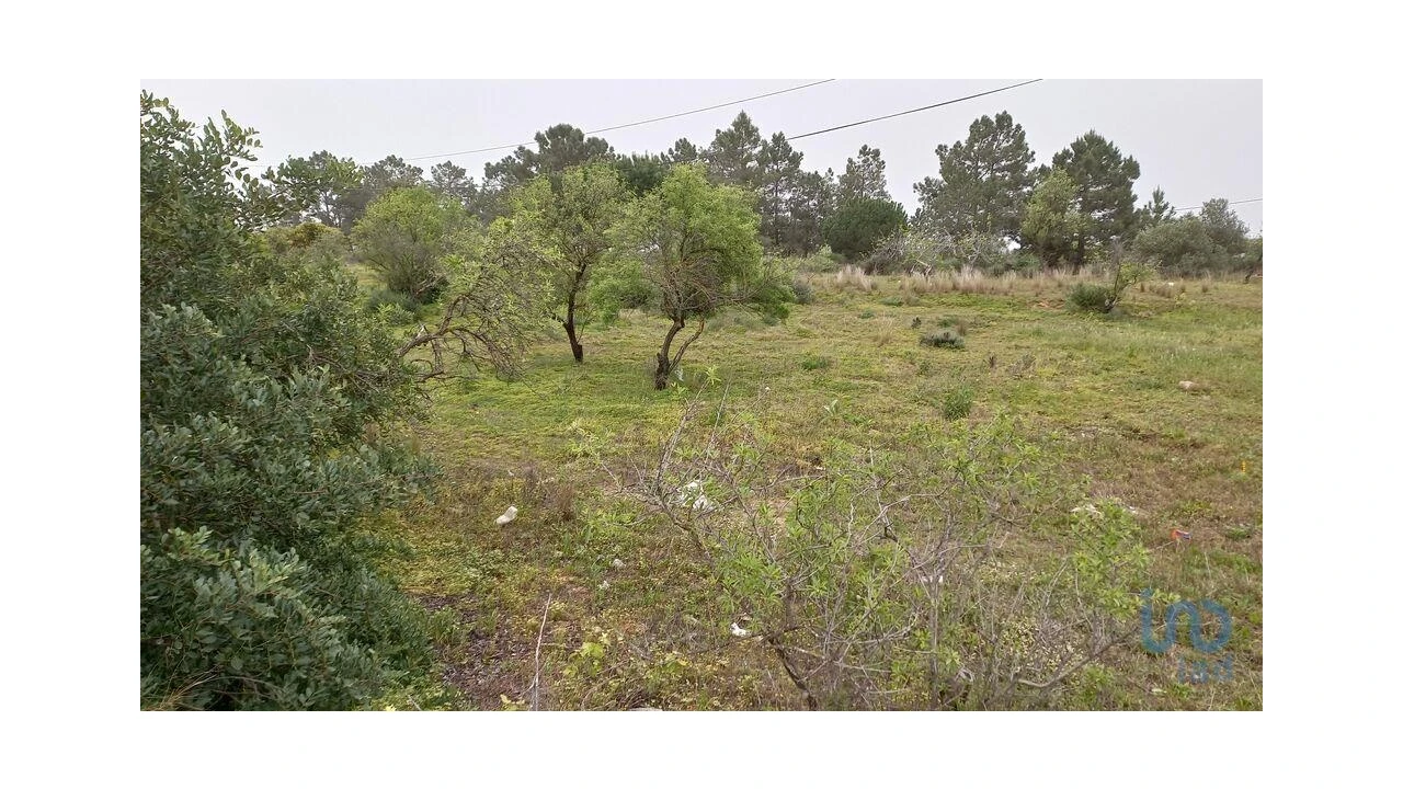 Terreno para Arrendamento em Quarteira Foto 5
