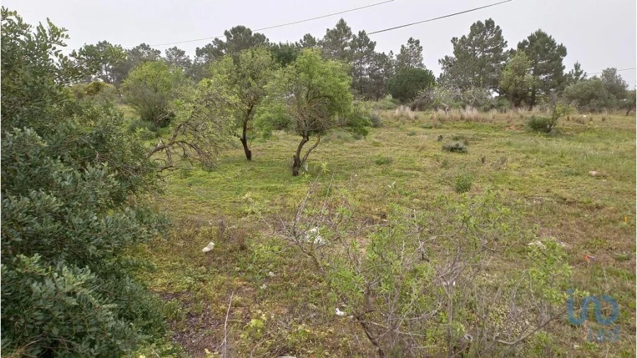 Terreno para Arrendamento em Quarteira Foto 5