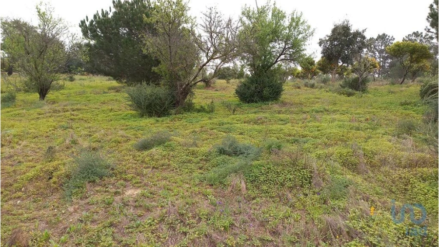Terreno para Arrendamento em Quarteira Foto 6