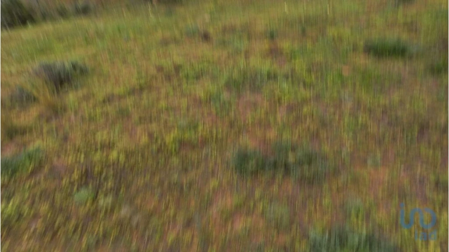 Terreno para Arrendamento em Quarteira Foto 3