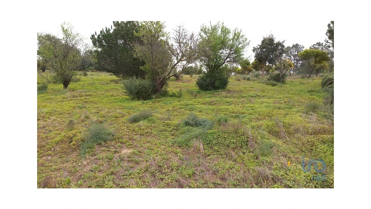 Terreno para Arrendamento em Quarteira Foto 6