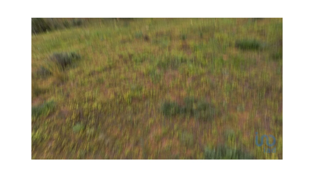 Terreno para Arrendamento em Quarteira Foto 3