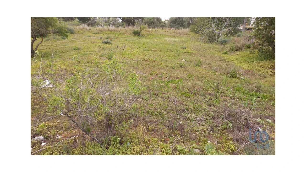 Terreno para Arrendamento em Quarteira Foto 4
