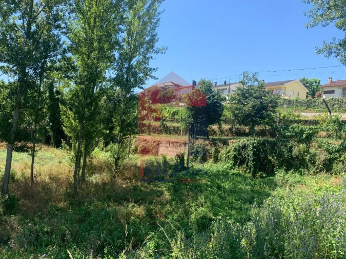 Terreno para Venda em Vila Verde e Barbudo Foto 3