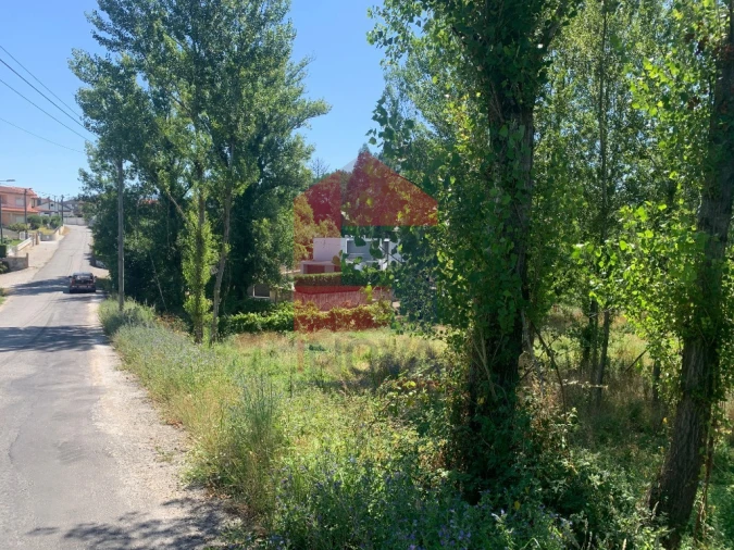 Terreno para Venda em Vila Verde e Barbudo Foto 7