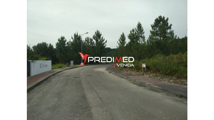 Terreno para Venda em Freixianda, Ribeira do Fárrio e Formigais Foto 6