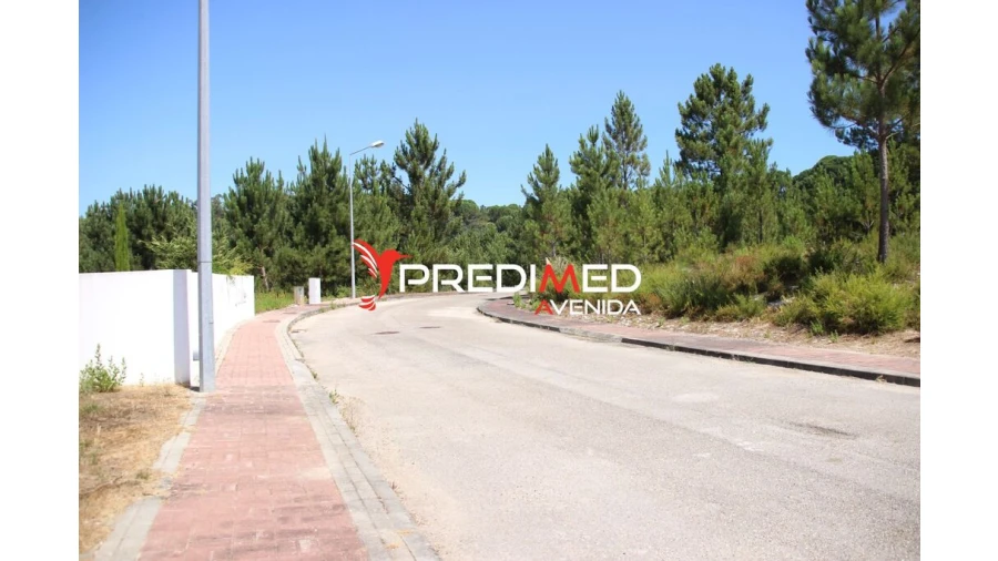 Terreno para Venda em Freixianda, Ribeira do Fárrio e Formigais Foto 7