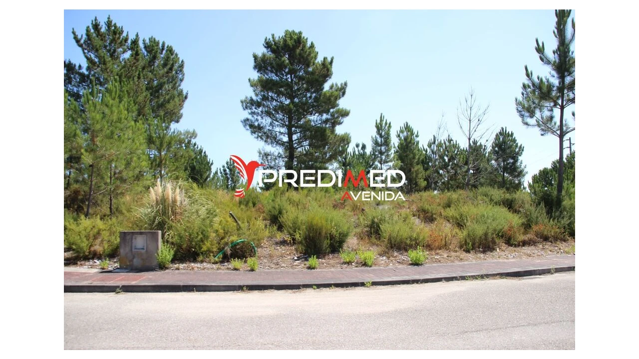 Terreno para Venda em Freixianda, Ribeira do Fárrio e Formigais Foto 2