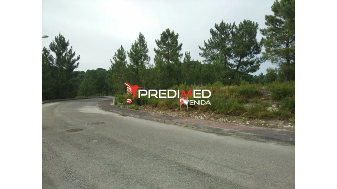 Terreno para Venda em Freixianda, Ribeira do Fárrio e Formigais Foto 5