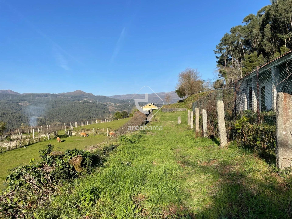Terreno para Venda em Azere Foto 13