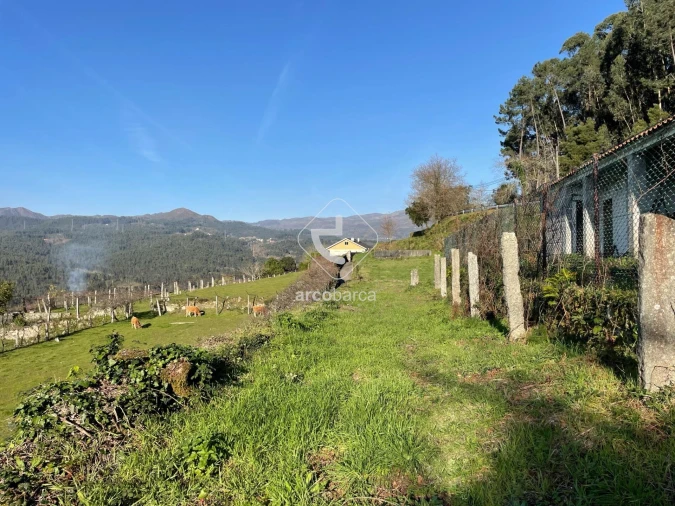 Terreno para Venda em Azere Foto 13