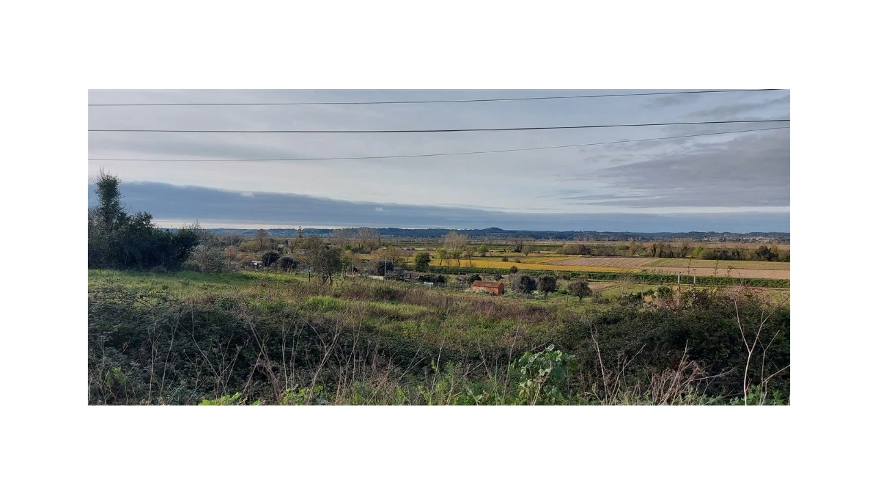 Terreno para Venda em Pereira Foto 5