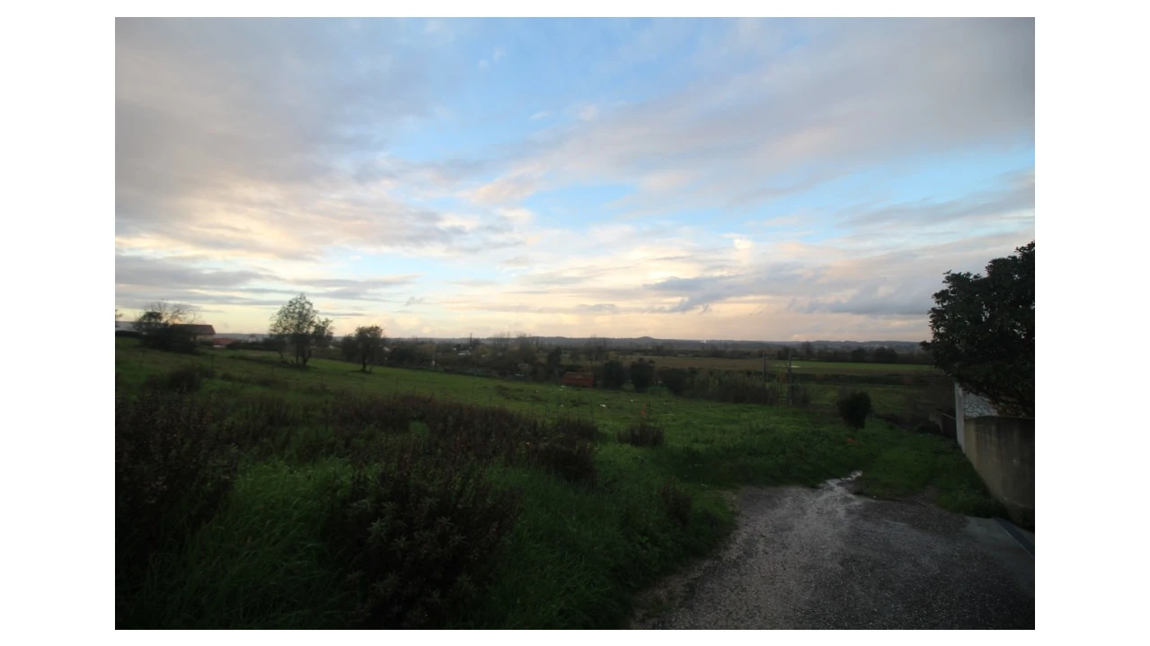Terreno para Venda em Pereira Foto 8