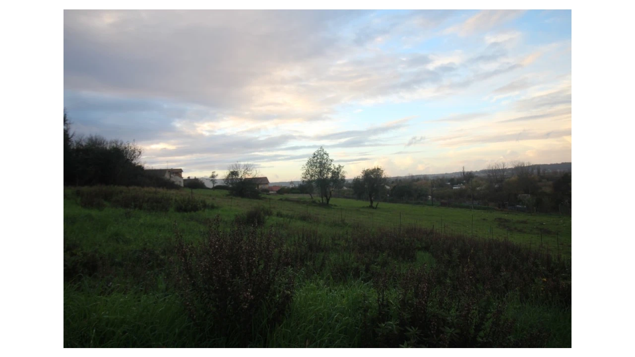 Terreno para Venda em Pereira Foto 9