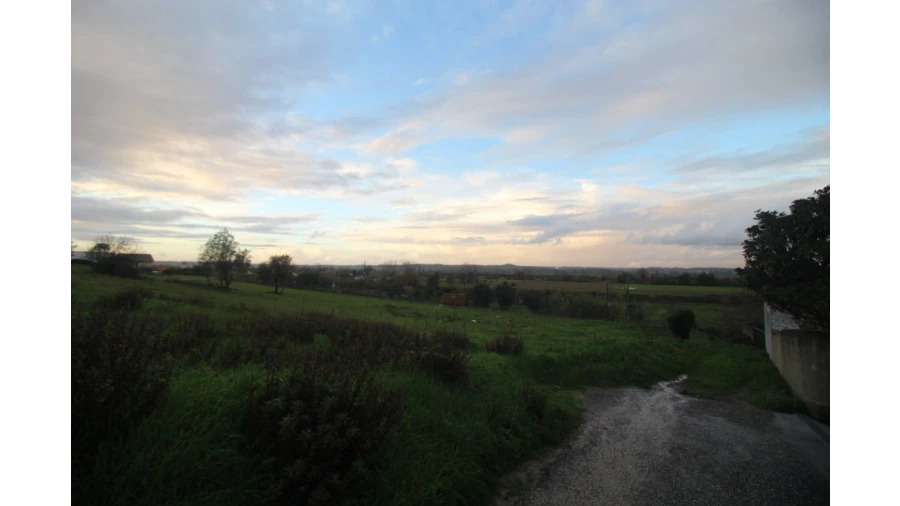 Terreno para Venda em Pereira Foto 8