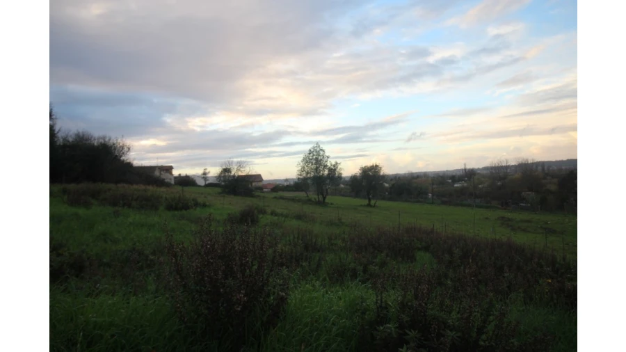 Terreno para Venda em Pereira Foto 9