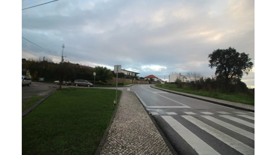 Terreno para Venda em Pereira Foto 12