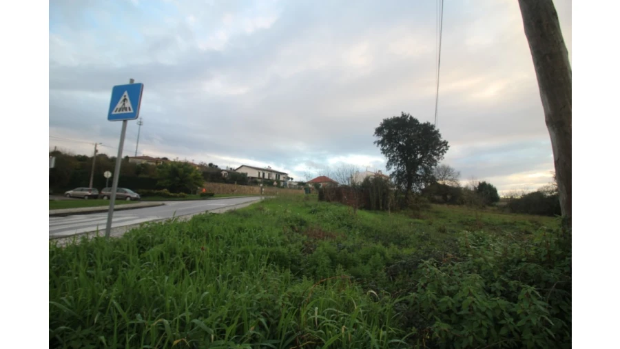 Terreno para Venda em Pereira Foto 10
