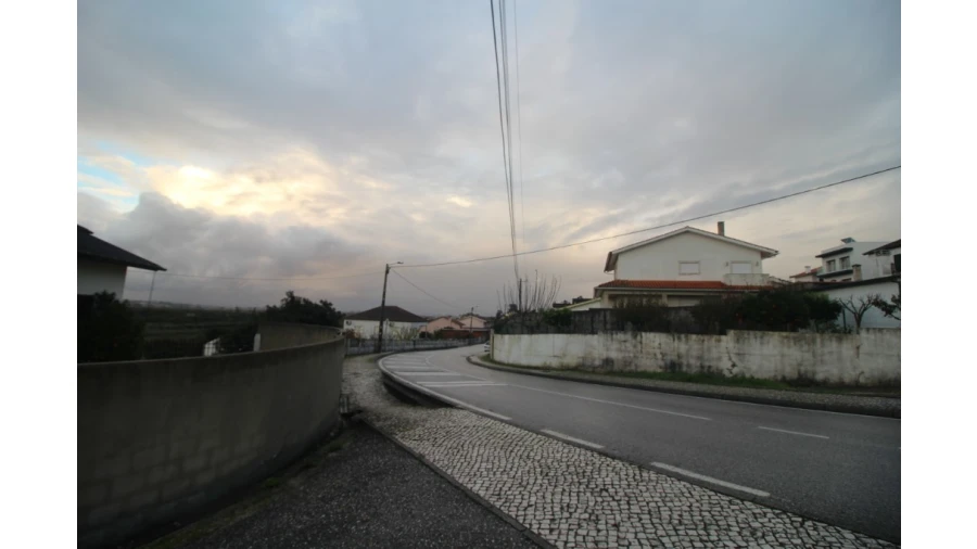 Terreno para Venda em Pereira Foto 11