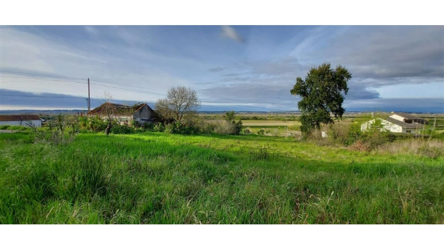 Terreno para Venda em Pereira Foto 6
