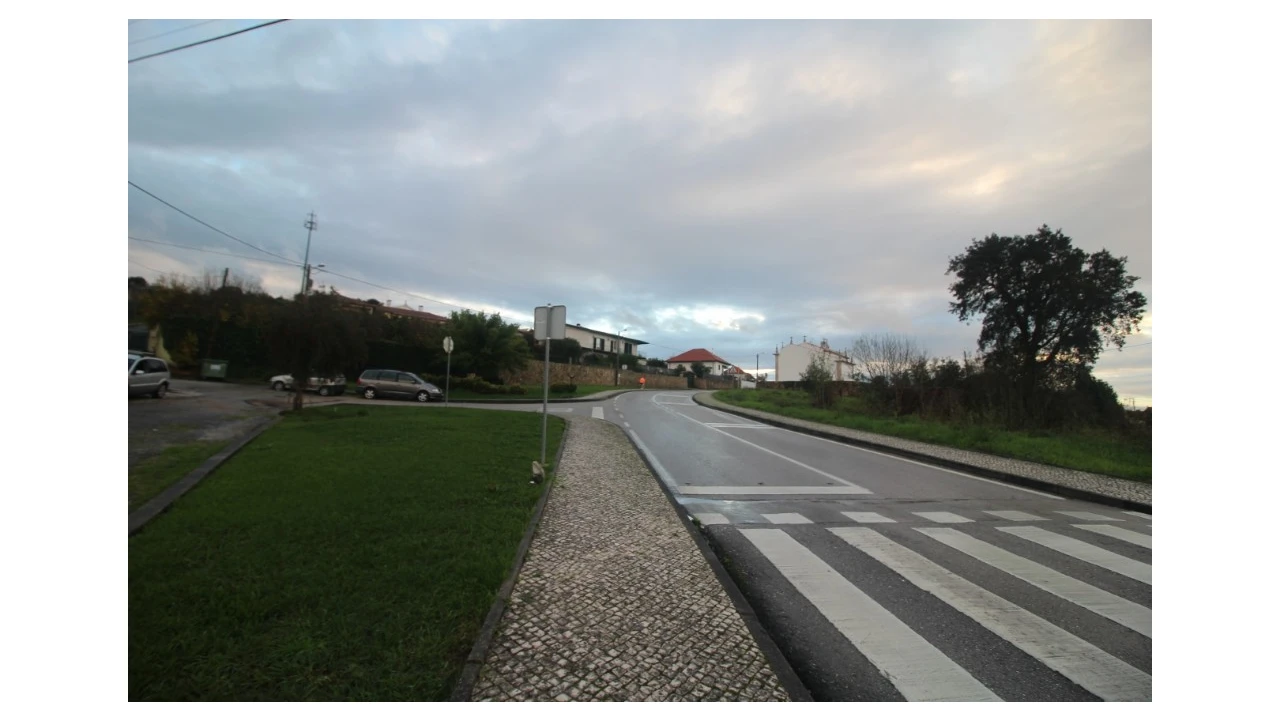 Terreno para Venda em Pereira Foto 12